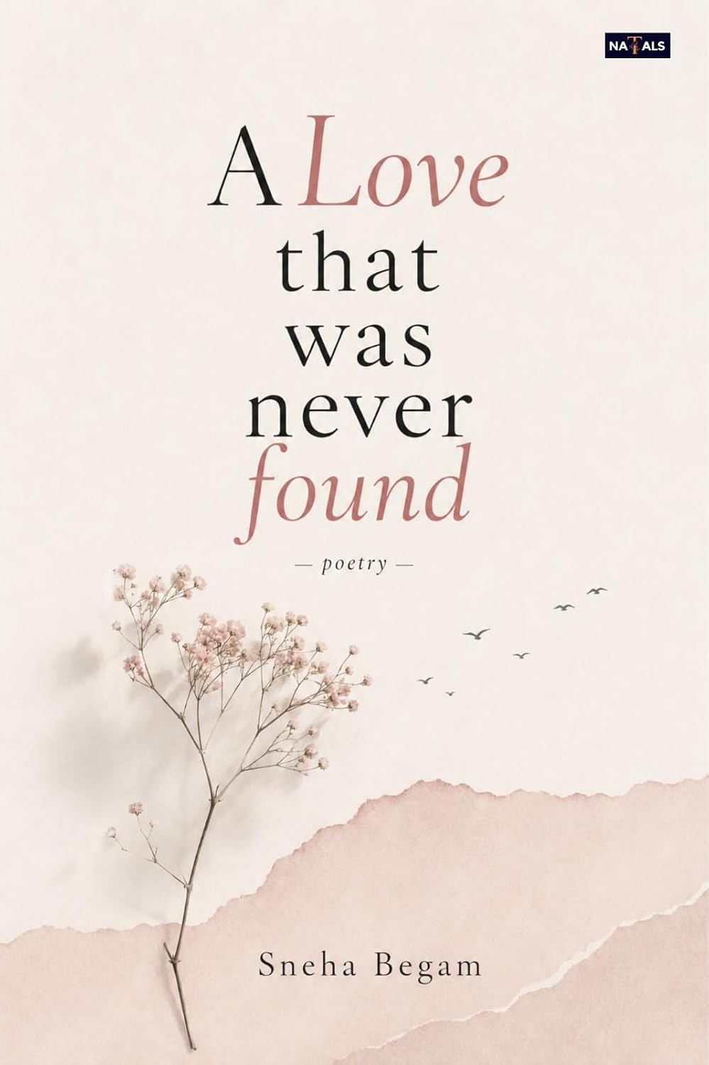 A Love That Was Never Found