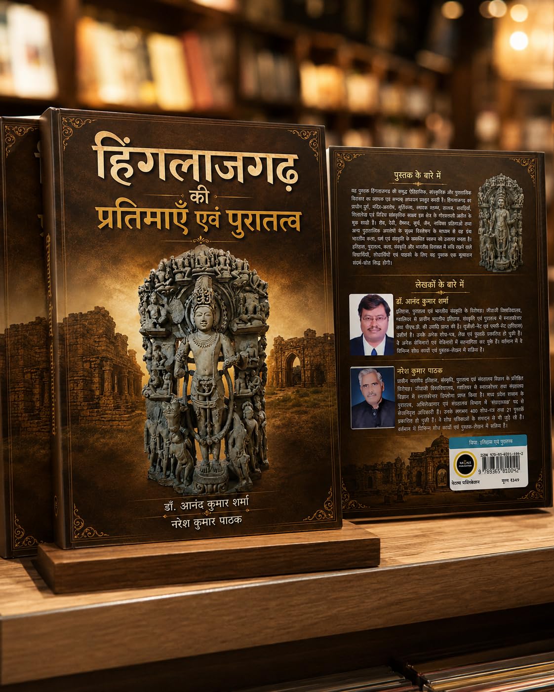 Hinglajgarh Ki Pratimaen Evam Puratatva - हिंगलाजगढ़ की प्रतिमाएँ एवं पुरातत्व