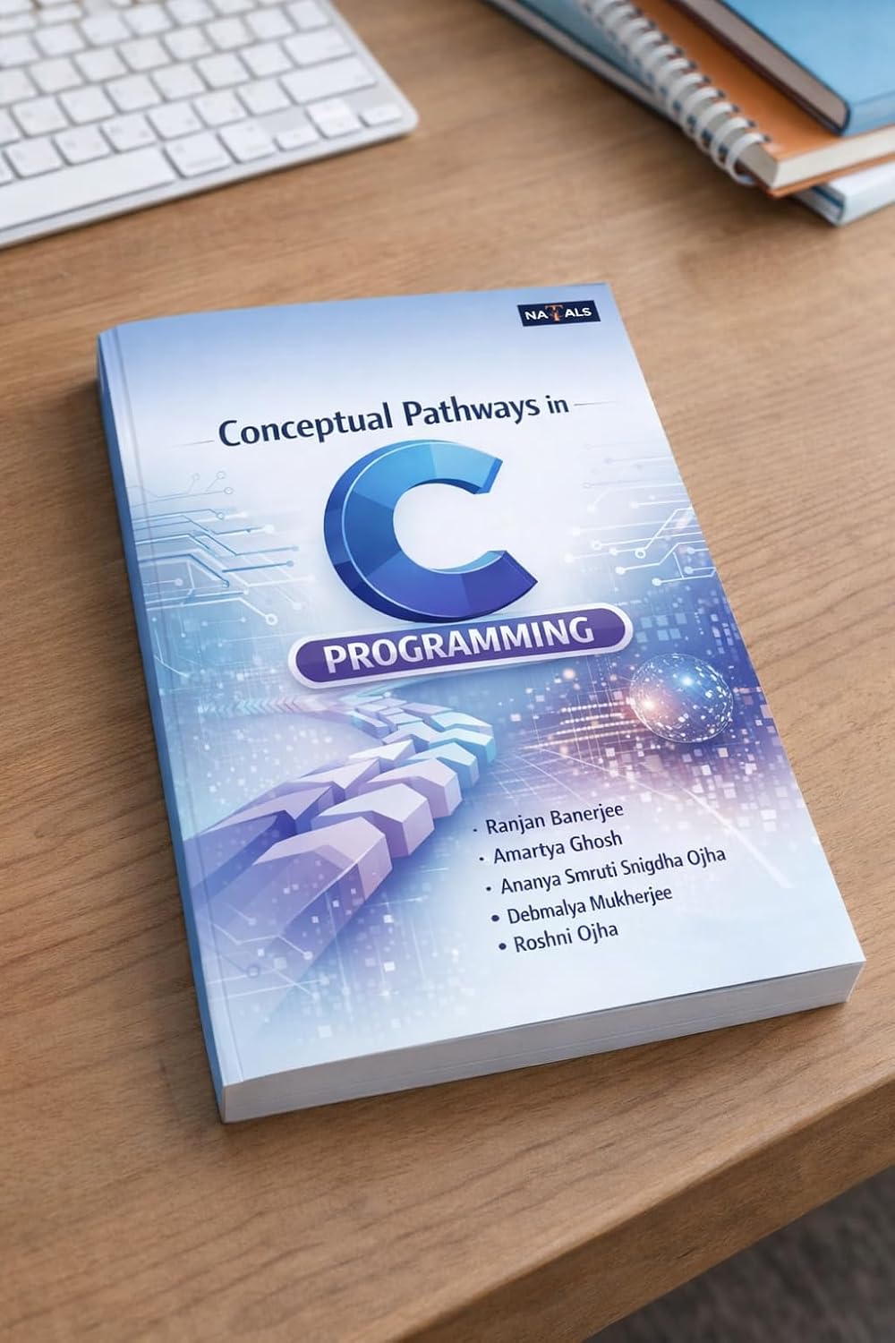 Conceptual Pathways in C Programming